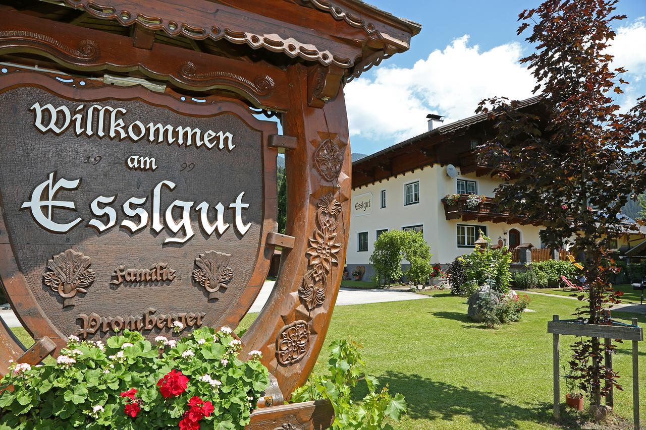 Appartments Am Esslgut Haus im Ennstal Luaran gambar