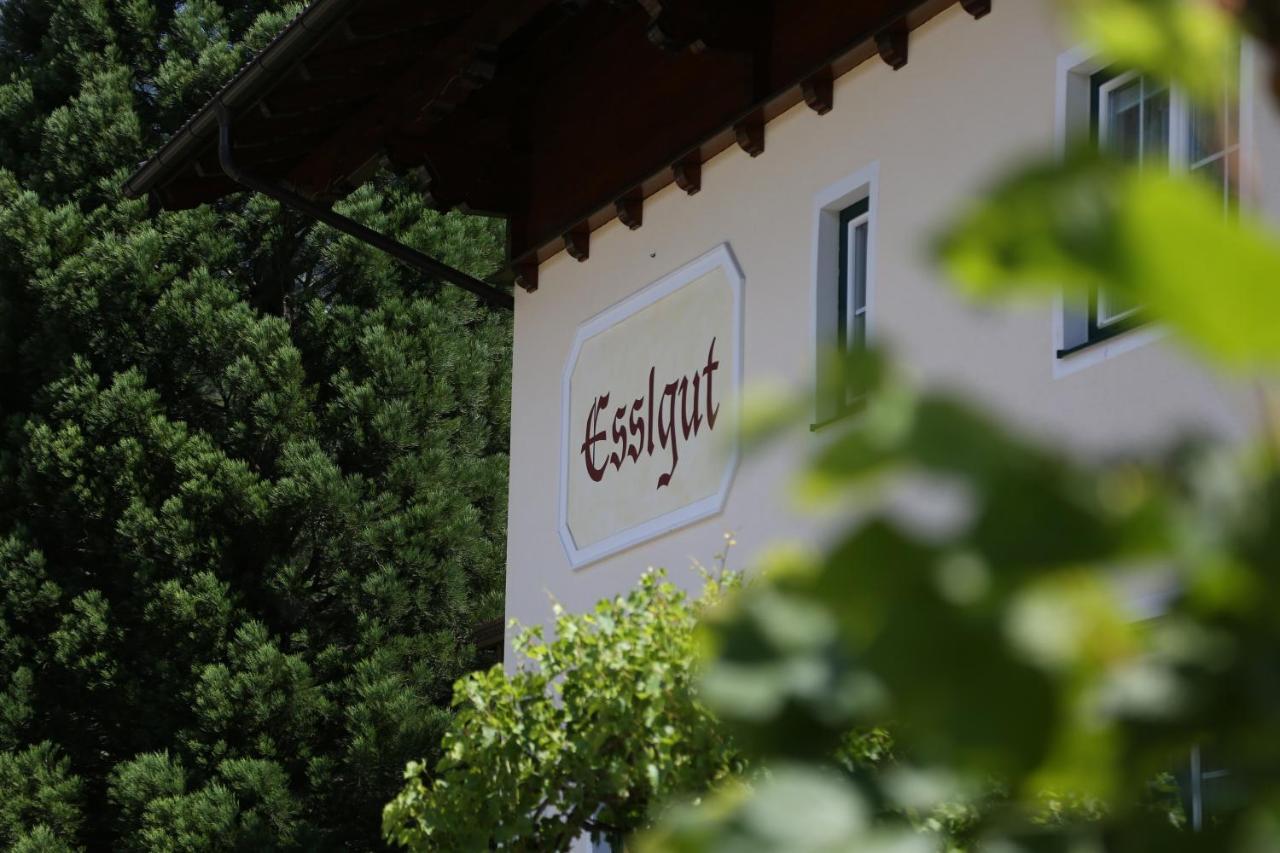 Appartments Am Esslgut Haus im Ennstal Luaran gambar